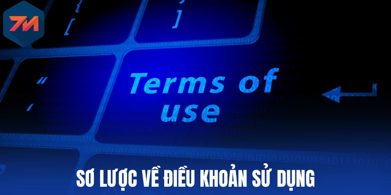 Điều Khoản Sử Dụng - Bảo Vệ Người Dùng Và Nội Dung Trang 7M 1 Sơ lược về điều khoản sử dụng