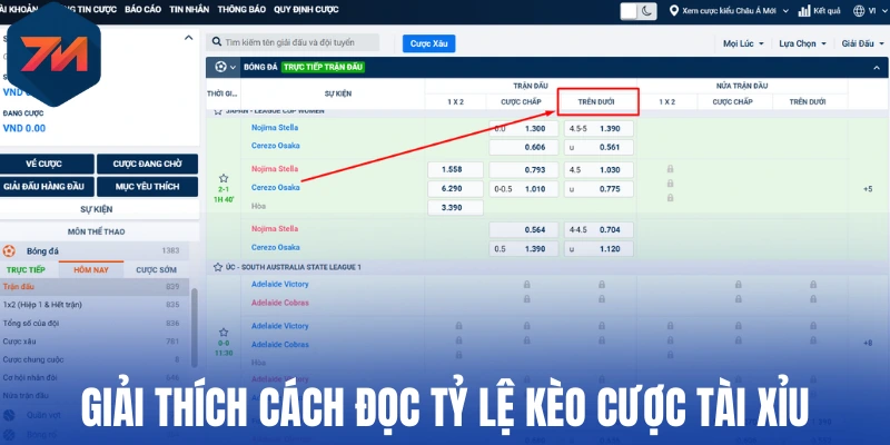 Kèo Tài Xỉu - Phương Pháp Bắt Kèo Thơm Mỗi Khi Vào Trận 2 Giải thích cách đọc tỷ lệ kèo cược tài xỉu