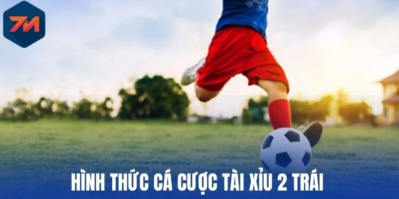 Tài Xỉu 2 Trái - Cách Thức Bắt Kèo Chuẩn Bóng Đá Từ Cao Thủ 1 Hình thức cá cược tài xỉu 2 trái