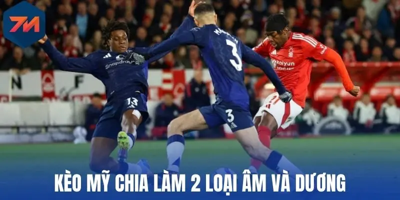 Tỷ Lệ Kèo Mỹ - Hiểu Đúng Cách Đọc, Kinh Nghiệm Thực Chiến 2 Kèo Mỹ chia làm 2 loại âm và dương