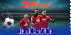 Kèo Thắng Áp Đảo - Chiến Thuật Cá Cược Thắng Lớn Mỗi Ngày 3 Hướng dẫn cách bắt kèo hiệu quả