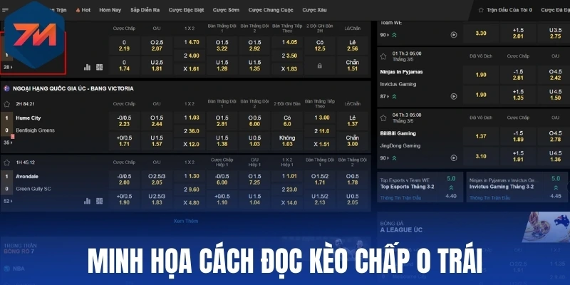 Kèo Đồng Banh - Giải Mã Định Nghĩa Và Chiến Lược Cược 2 Minh họa cách đọc kèo chấp 0 trái